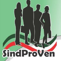 Logo-SindProven